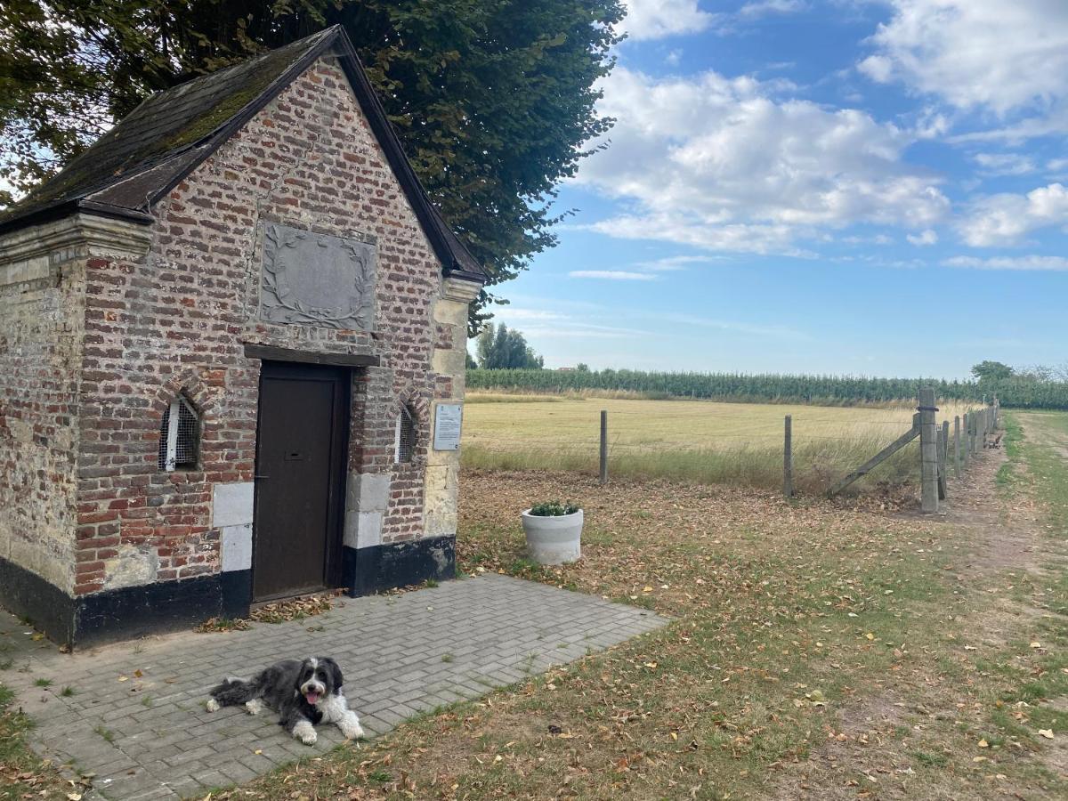 Route 123 Birchwood Pension Kortessem エクステリア 写真